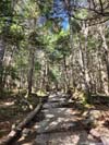 Trail