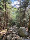 Trail