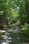 Bike Path