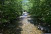 Pemigewasset River