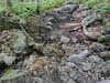 Short Muddy Section