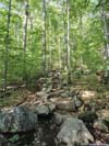 Trail