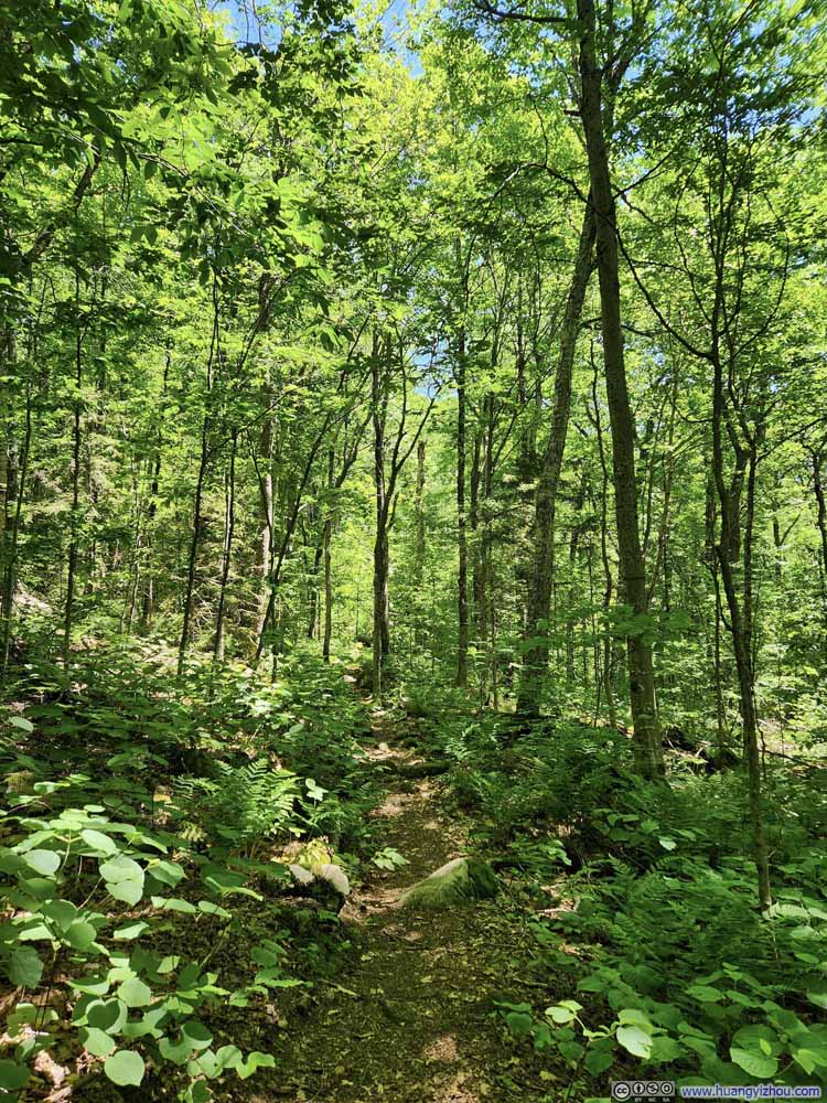 Trail