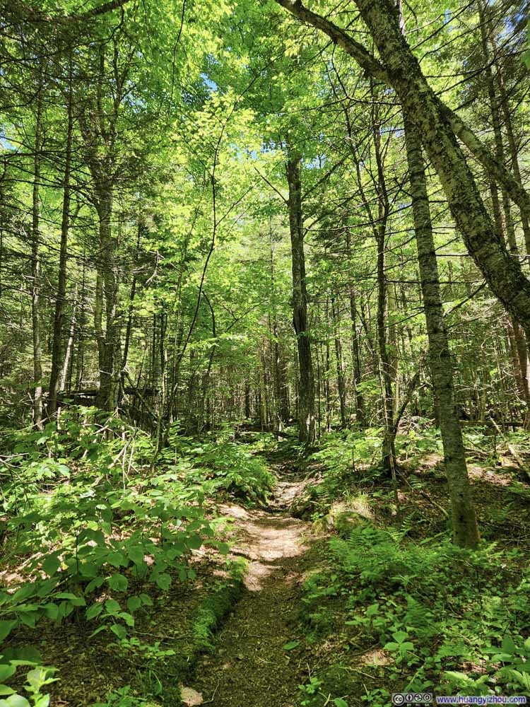 Trail
