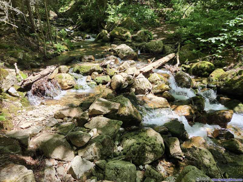 Crossing Flume Brook