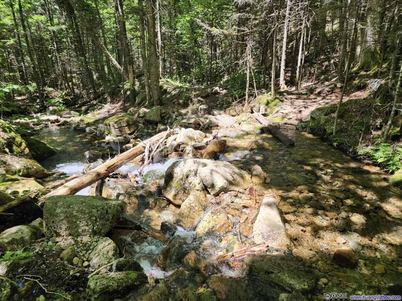 Crossing Flume Brook