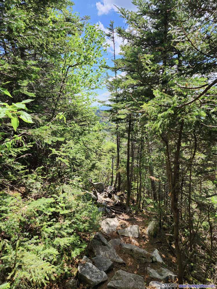 Trail