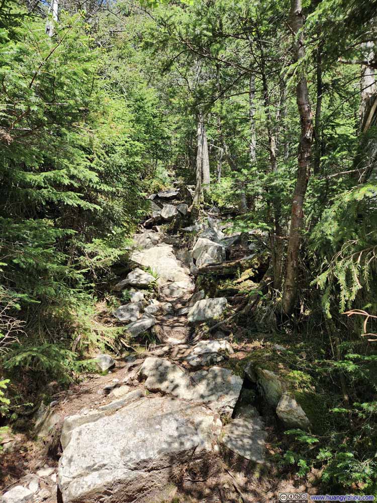 Trail