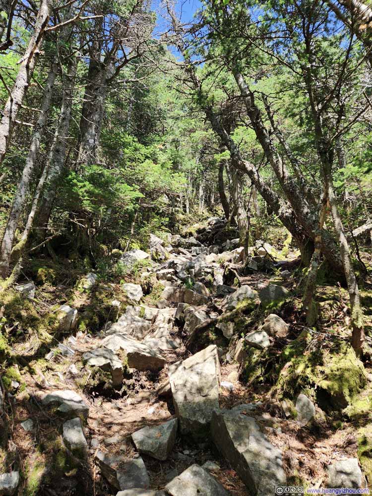 Trail