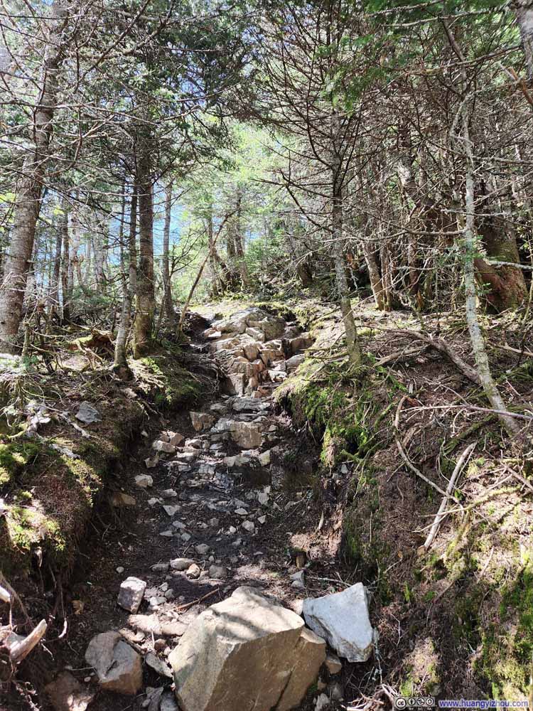 Trail