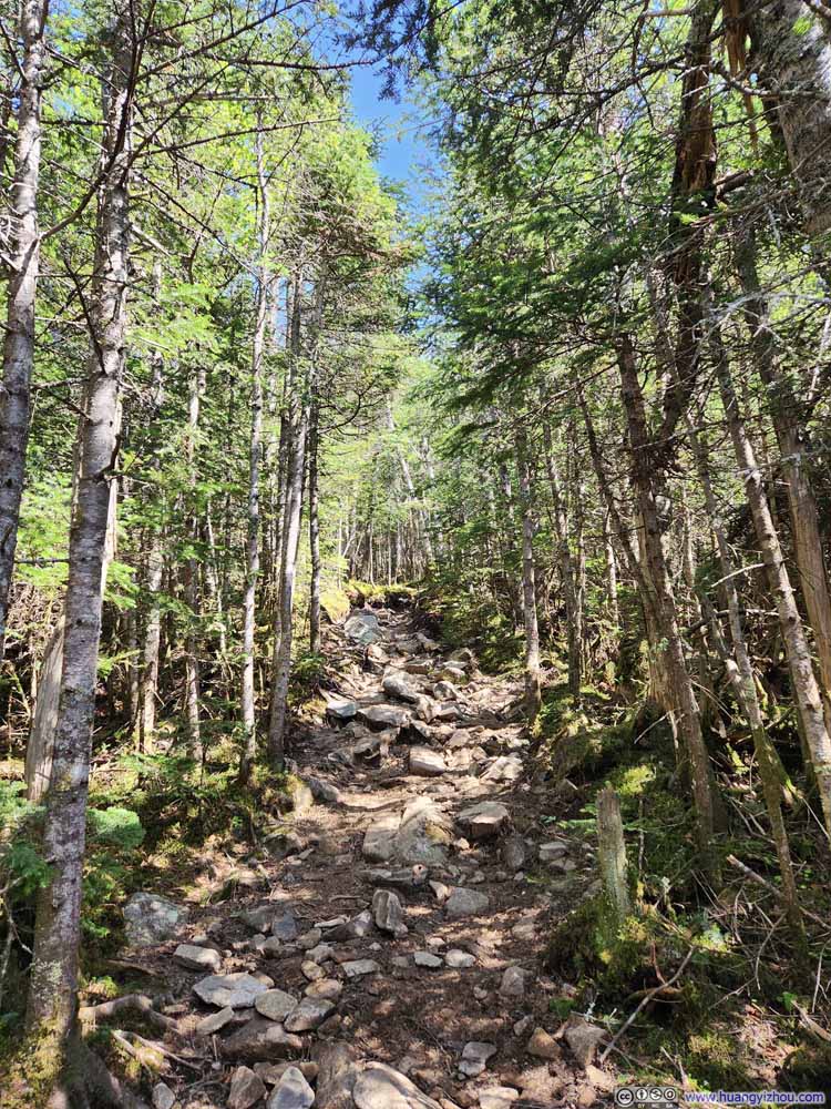 Trail