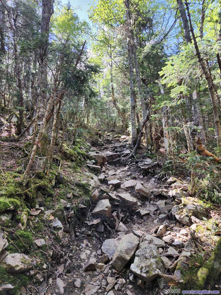 Trail