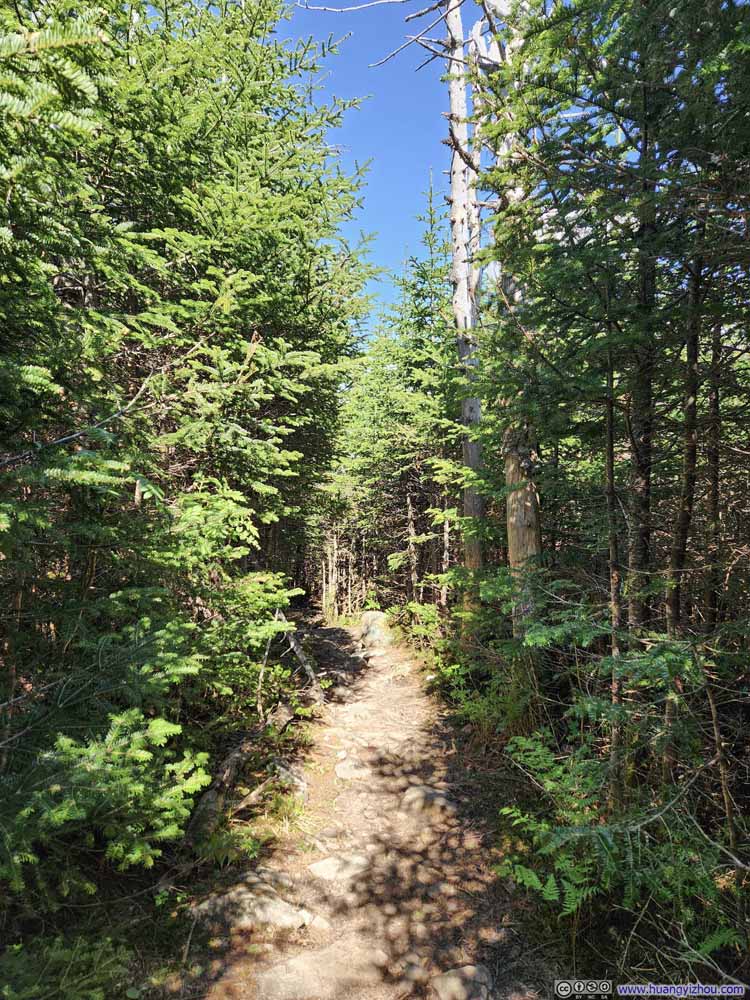 Trail