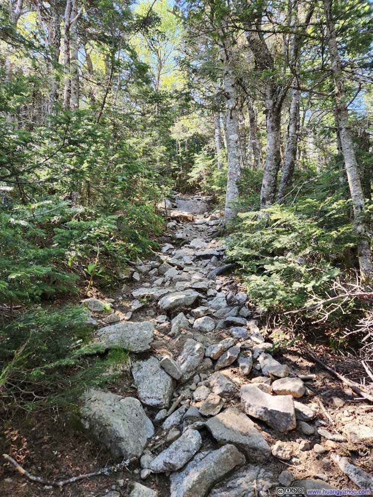 Trail