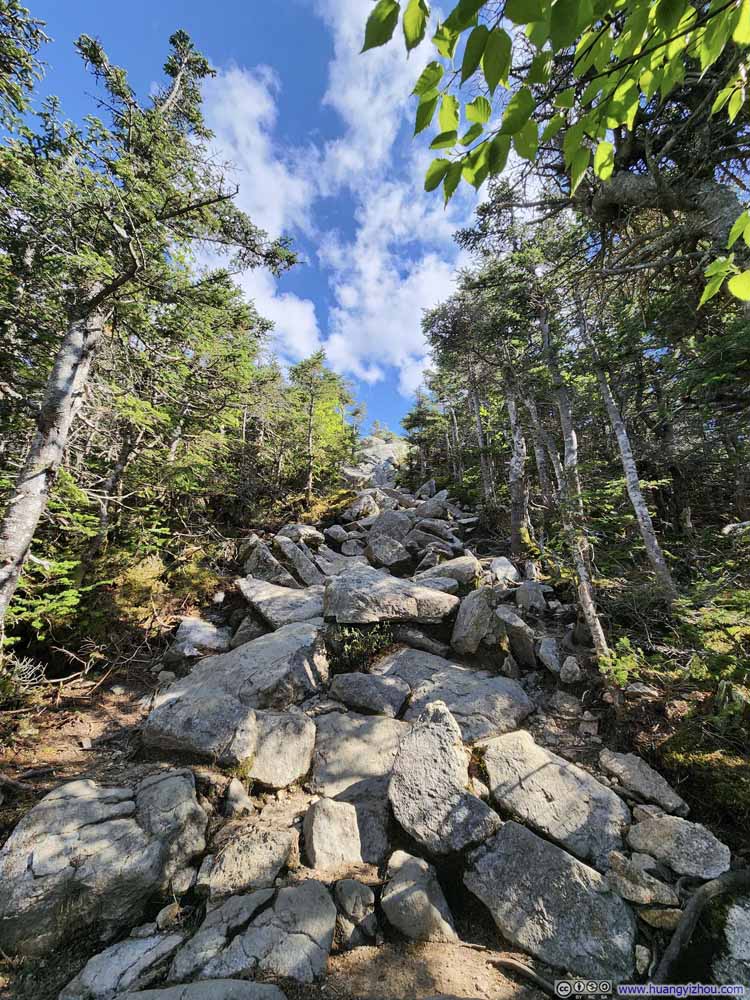 Trail