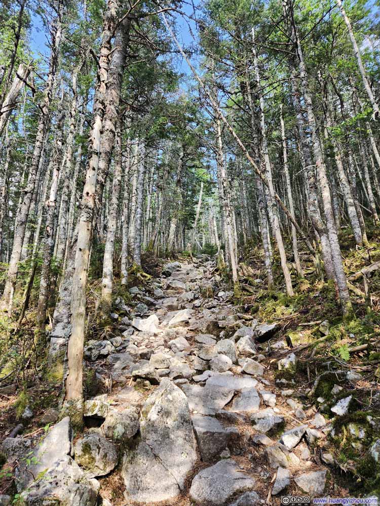 Trail