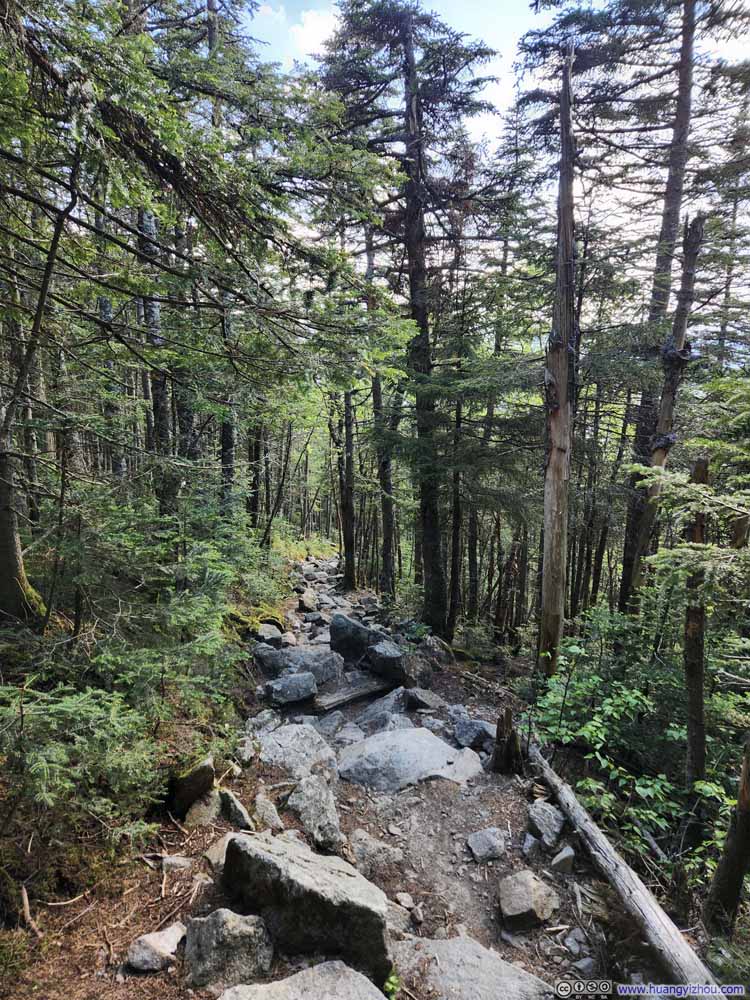 Trail