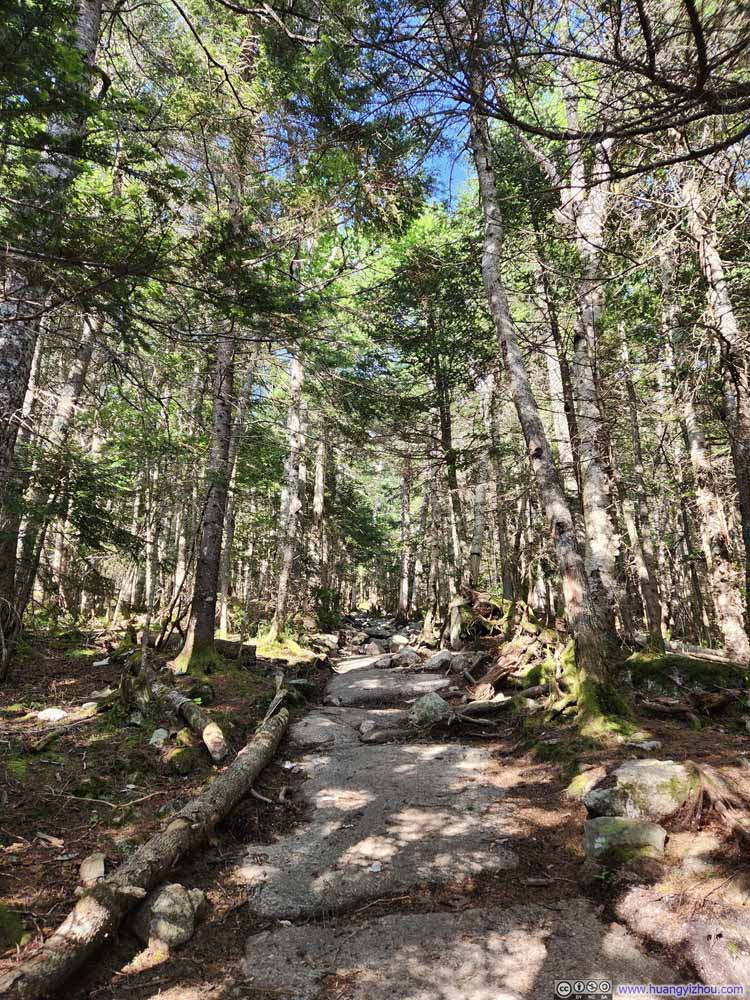 Trail