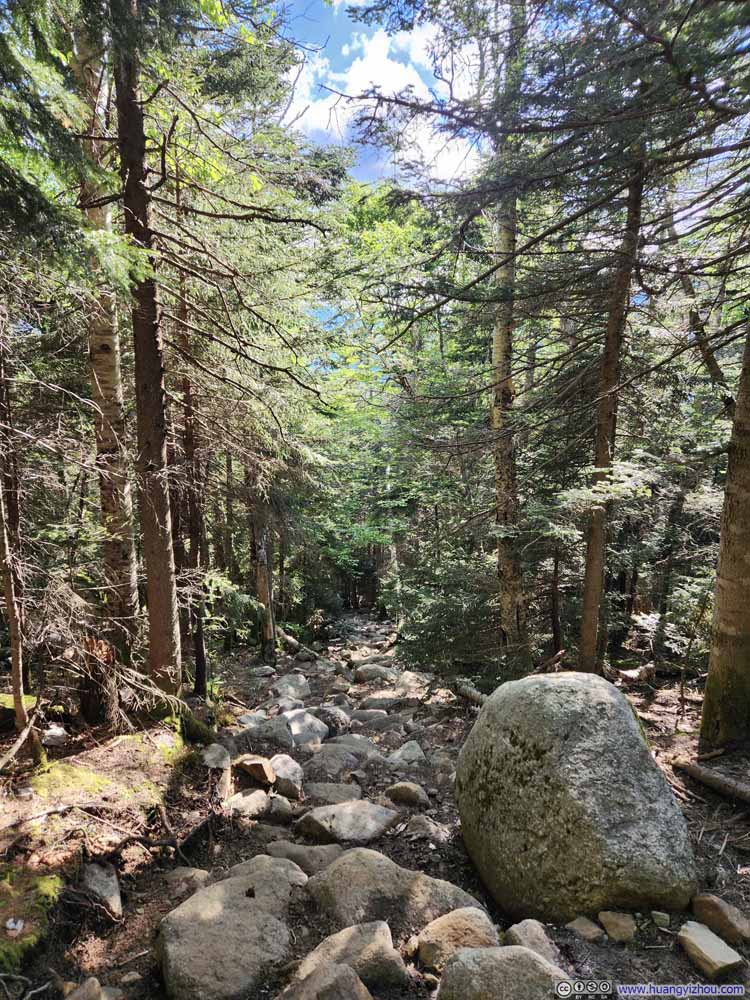 Trail