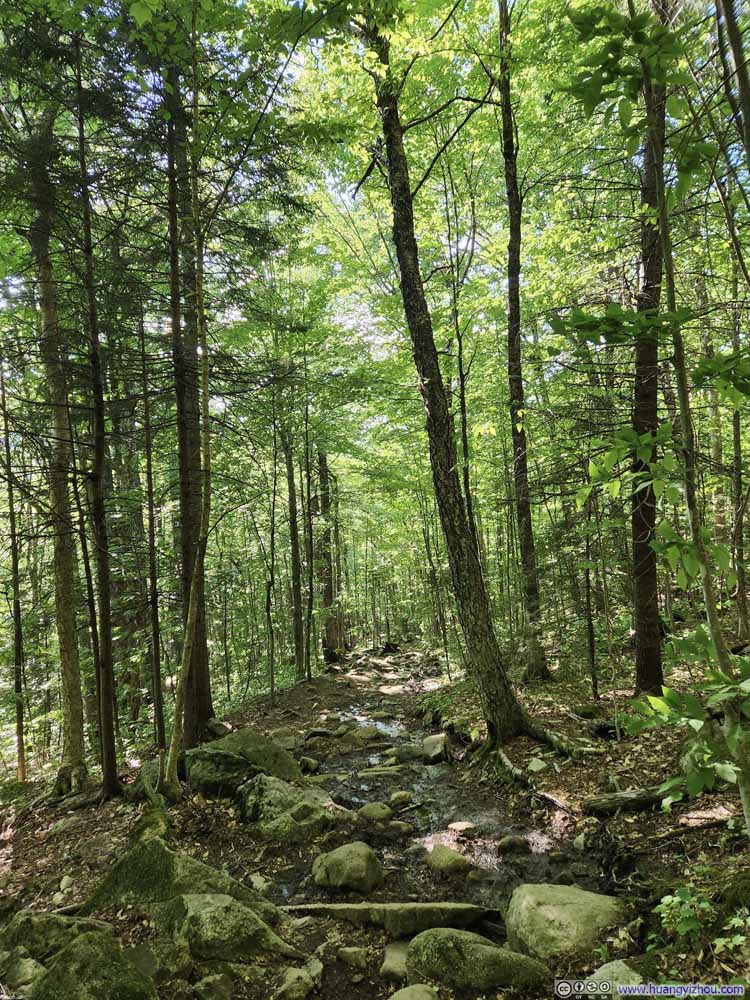 Trail