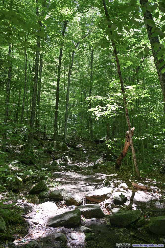 Trail