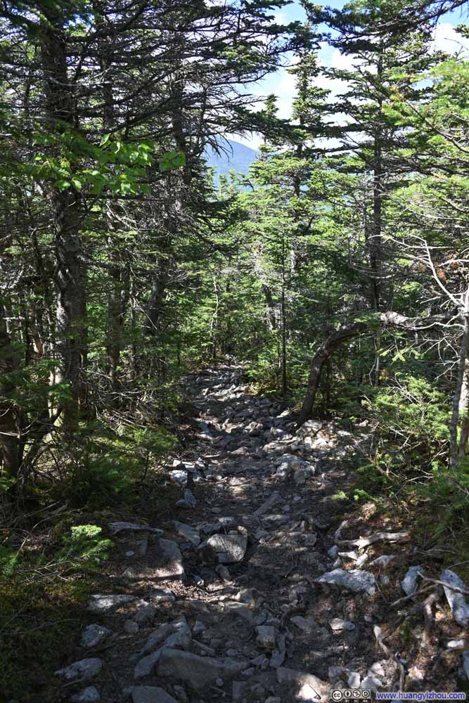 Trail