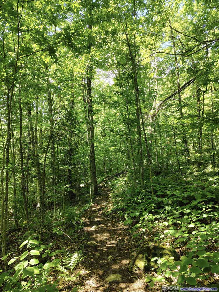 Trail