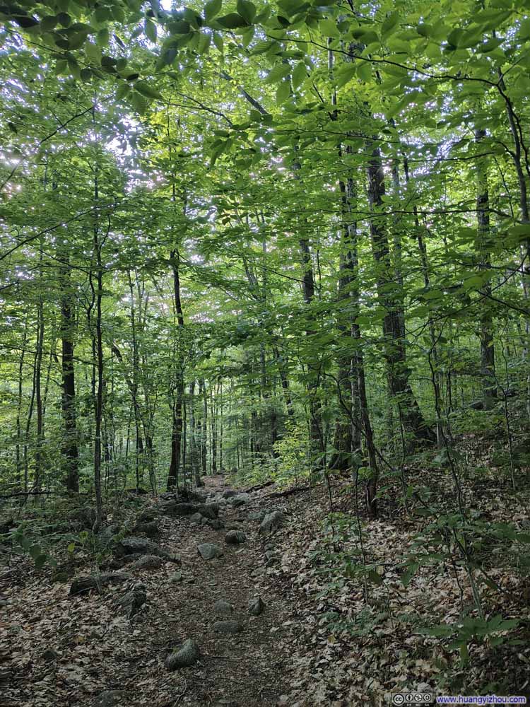 Trail