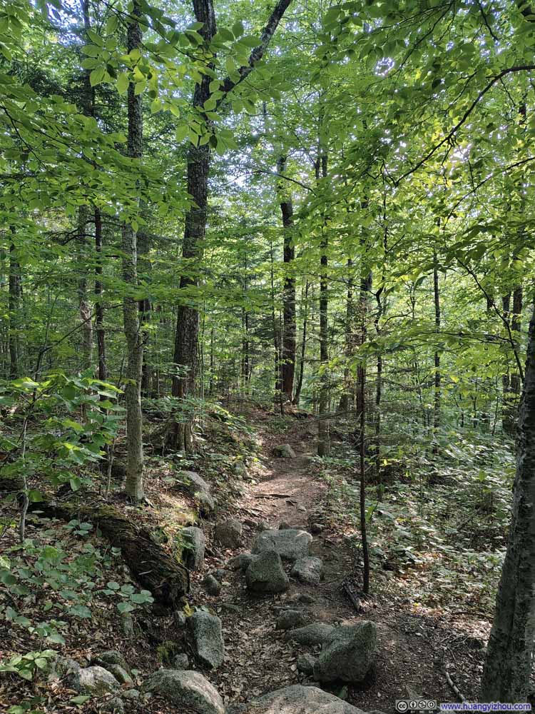 Trail