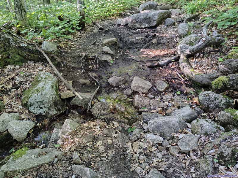 Short Muddy Section