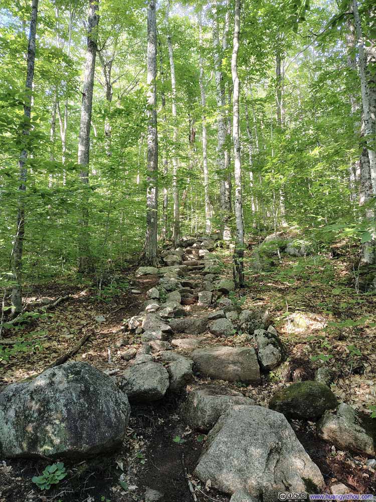 Trail