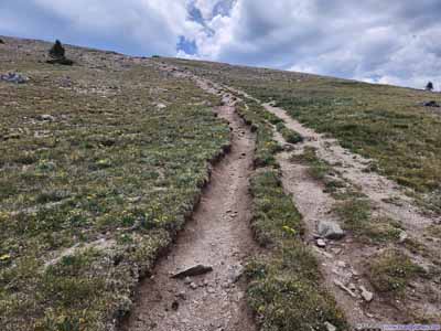 Trail