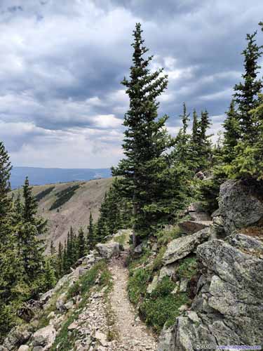 Trail