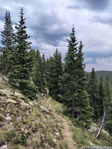 Trail