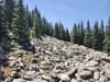 Trail through Rocky Field