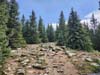Trail