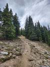Trail