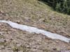 Patch of Snow along Trail