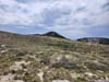 Field of Wildflowers on Penitente Peak