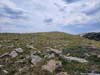 Field of Wildflowers on Penitente Peak