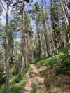 Trail