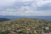 Field of Wildflowers on Penitente Peak