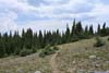 Trail