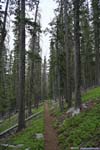 Trail
