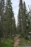 Trail