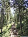 Trail