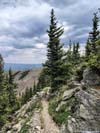 Trail