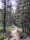 Trail