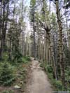 Trail