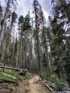 Trail